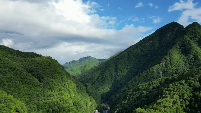 航拍祖国大好河山湖北神农架绿色植物森林