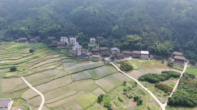 美丽乡村田园农业种植航拍 