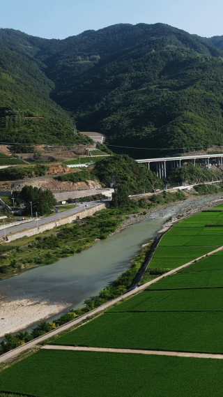航拍美丽乡村田园农业种植基地竖屏