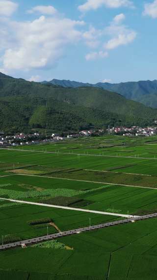 航拍美丽乡村田园农业种植基地竖屏