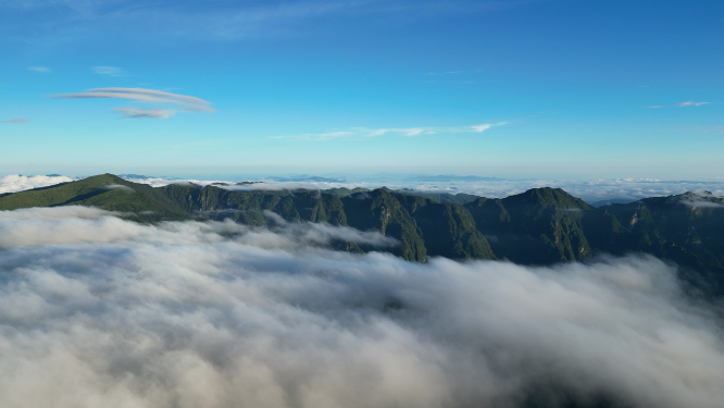 航拍高山云海湖北神农架景区
