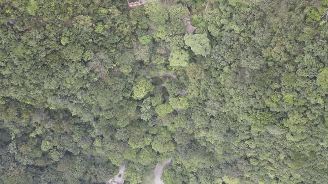 贵阳黔灵山公园4A景区航拍