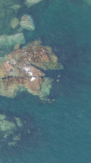 俯拍大海海浪礁石竖屏