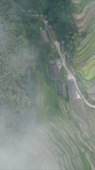 俯拍梯田农田种植竖屏