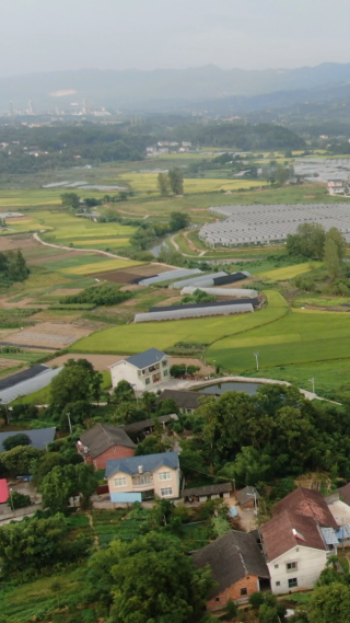 航拍现代农业大棚种植基地