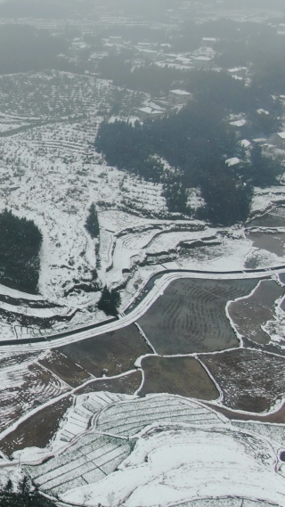 农业种植农田冬天雪景竖屏航拍