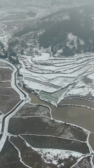 农业种植农田冬天雪景竖屏航拍