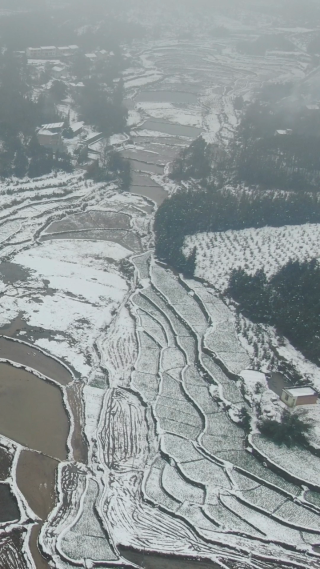 农业种植农田冬天雪景竖屏航拍