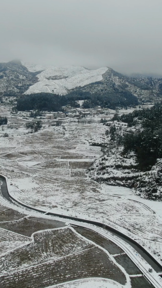 冬天水田雪景竖屏航拍