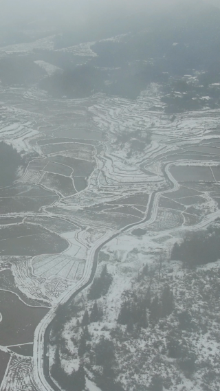 冬天水田雪景竖屏航拍