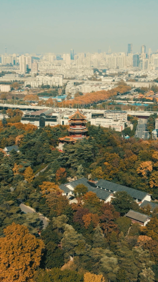 南京雨花台4A景区竖屏航拍