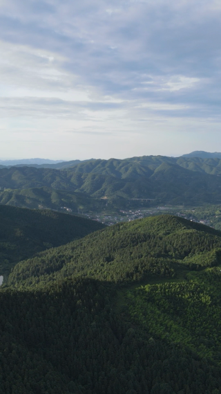 南方丘陵山川森林竖屏航拍