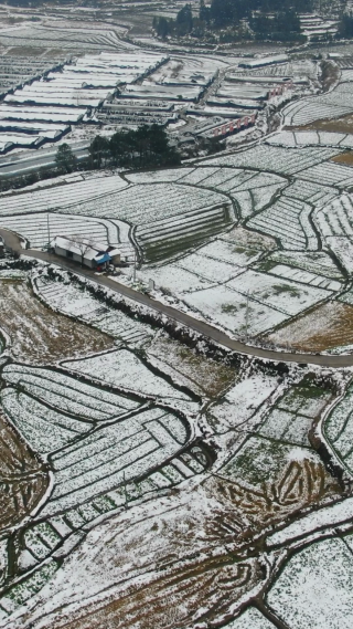 南方农田雪景竖屏航拍