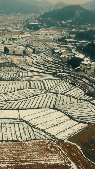南方农田雪景竖屏航拍