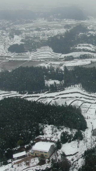 南方山川丘陵梯田竖屏航拍