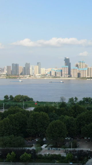 城市航拍武汉城市地标建筑竖屏
