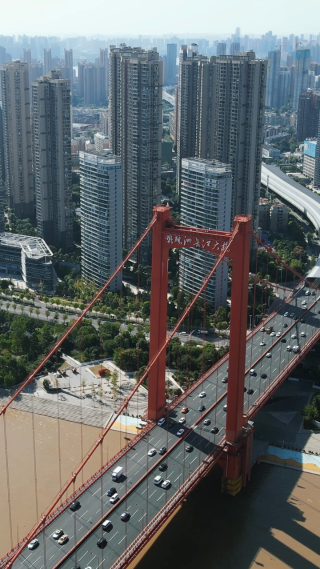 城市航拍武汉城市桥梁交通竖屏航拍