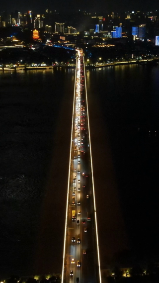 城市航拍武汉沙湖大桥夜景竖屏