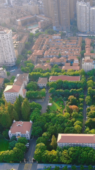 城市航拍武汉市政府竖屏