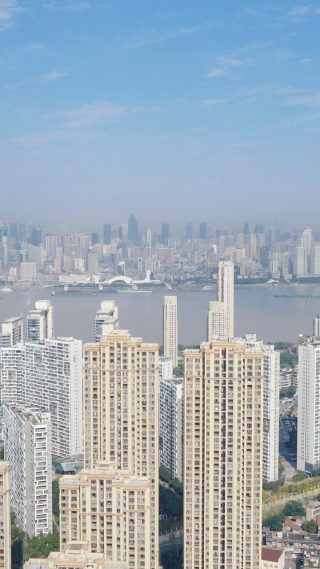 城市航拍武汉沙湖片区高楼建设竖屏