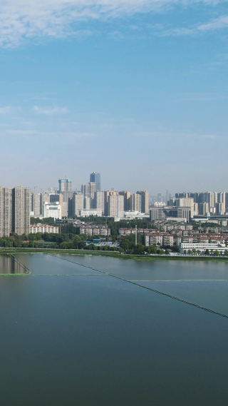 城市航拍武汉沙湖高楼建筑竖屏