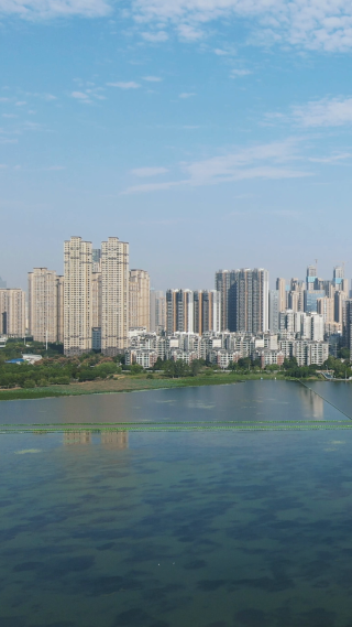 城市航拍武汉沙湖高楼建筑竖屏