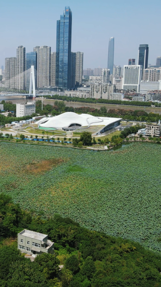 城市航拍武汉琴台文化艺术中心