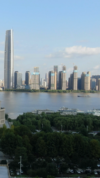 城市航拍武汉第一高楼竖屏航拍