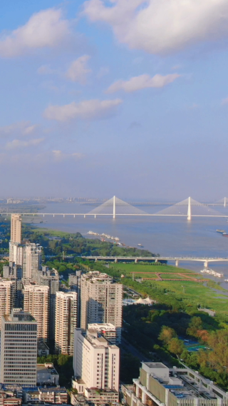 城市航拍武汉黄金大厦竖屏