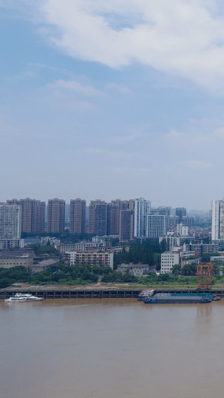 城市航拍湖南株洲湘江边高楼建筑竖屏