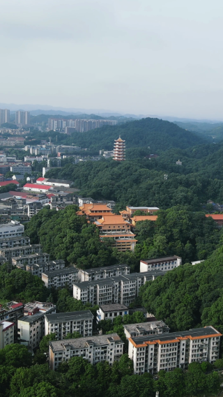 城市航拍湖南益阳白鹿寺 