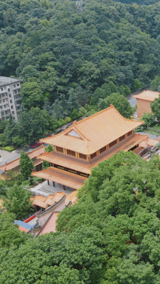 城市航拍湖南益阳白鹿寺 