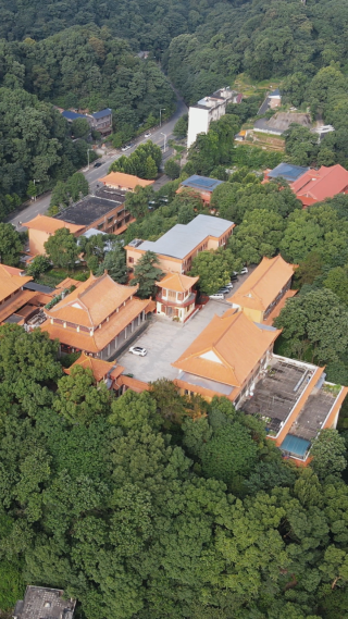 城市航拍湖南益阳白鹿寺 