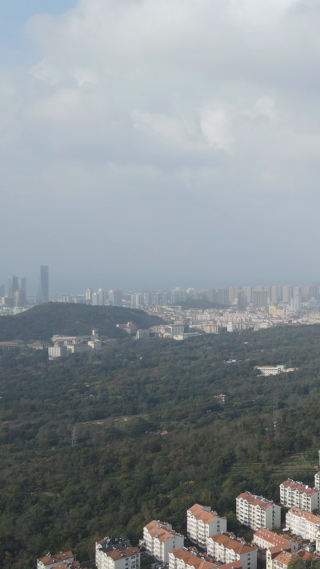 城市航拍青岛中山公园竖屏
