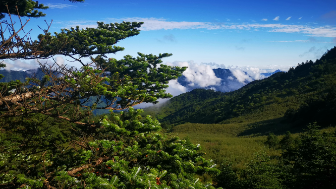 大自然清晨云海自然风光湖北神农架