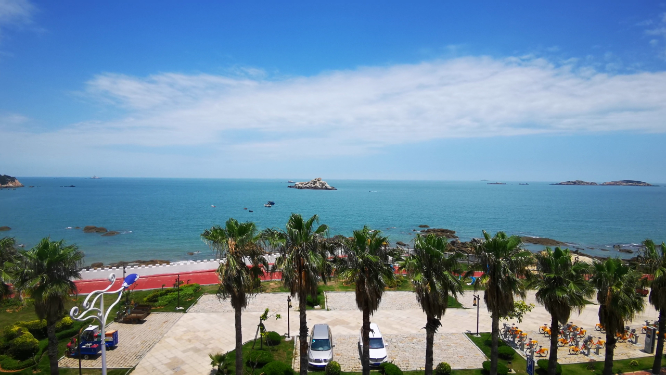 实拍海边棕树大海