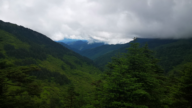 实拍湖北神农架5A景区