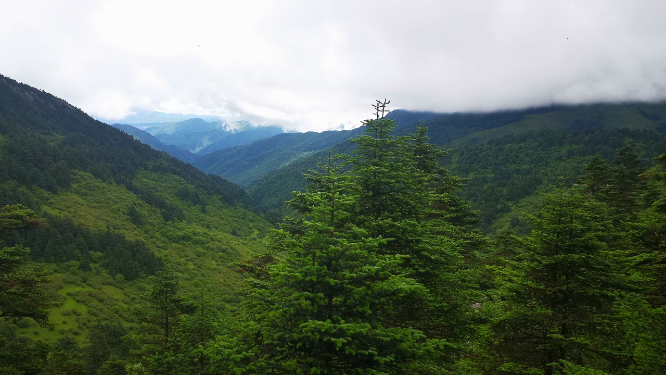 实拍湖北神农架5A景区