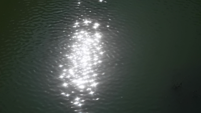 实拍湖面波光