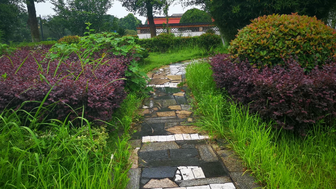 实拍雨后石板路