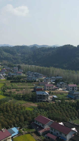 山川丘陵农业种植农田竖屏航拍