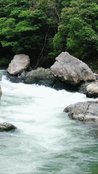 山间溪流流水竖屏航拍