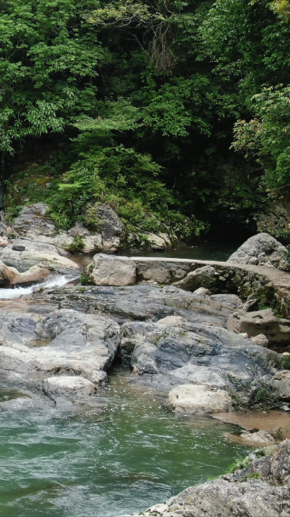 山间溪流流水竖屏航拍