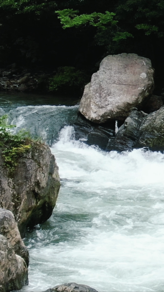 山间溪流流水竖屏航拍