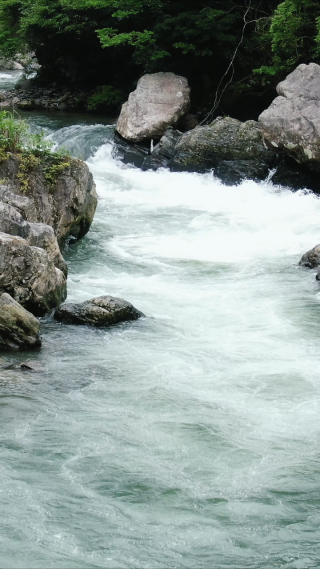 山间溪流流水竖屏航拍