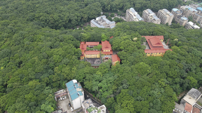 岳阳金鹗山公园