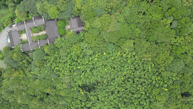 岳阳金鹗山公园