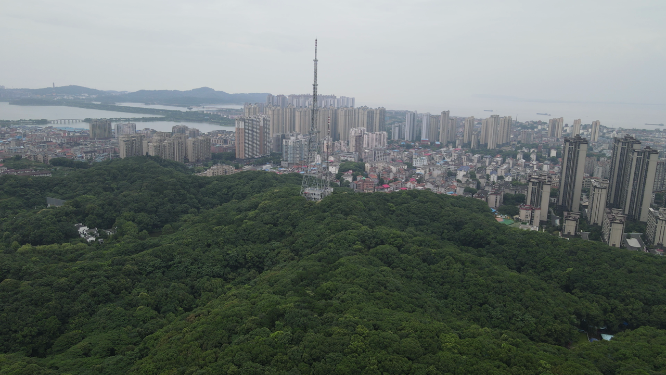 岳阳金鹗山公园