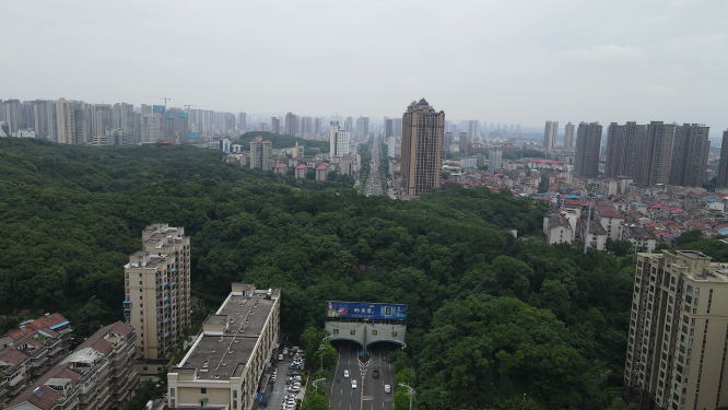 岳阳金鹗山公园
