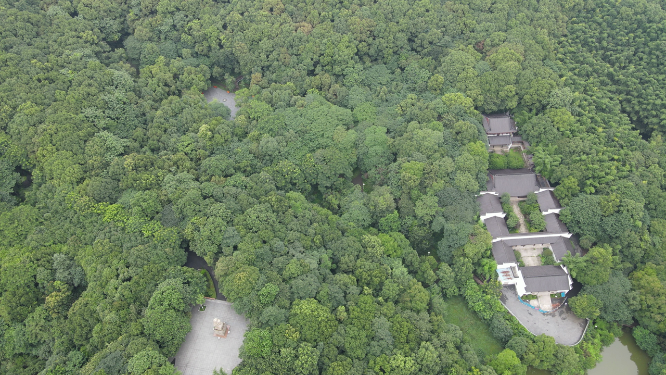 岳阳金鹗山公园